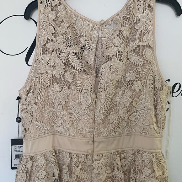 Adrianna Papell lace fit and flare sleeveless cocktail dress - Picture 6 of 10